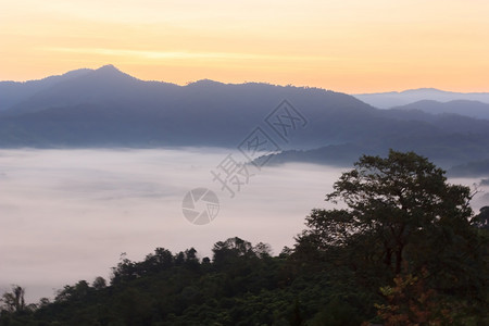 山顶云雾缭绕风景优美丽场图片