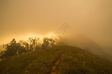 山丘日出和雾自由荒野享受图片