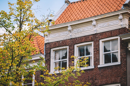视窗建筑学秋季颜色和窗口抽象的图片
