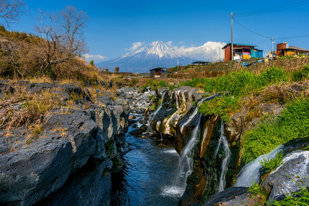 树日本的藤山和瀑布亚洲季节图片