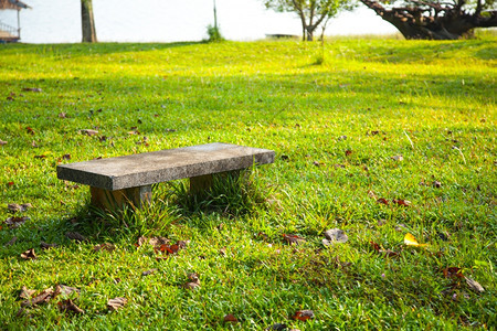 郁葱木头公园露天气氛中草坪的座椅子图片