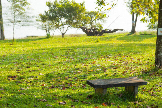 秋天叶子公园露气氛中草坪的座椅放松图片