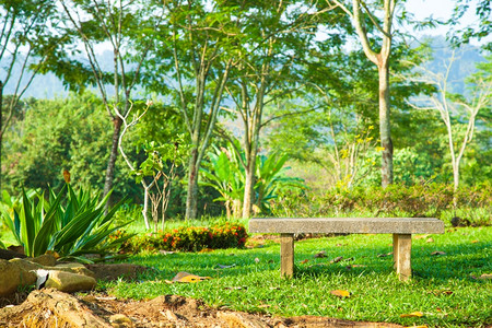 木头户外公园露天气氛中草坪的座椅背景图片