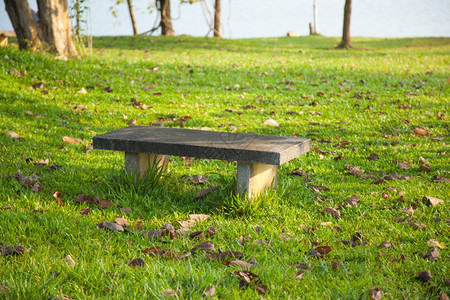 公园露天气氛中草坪的座椅院子场景图片