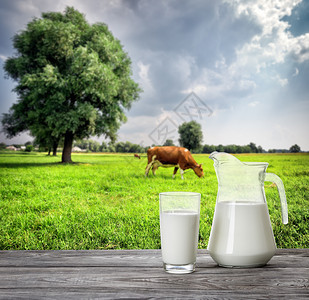 饮料奶牛和牧场背景下的玻璃和牛奶罐夏季景观天然健康食品的概念奶牛和牧场背景下的玻璃和牛奶罐图片