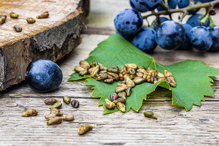 饮食种子点旧木板上绿叶的葡萄和籽蓝水疗生物态产品概念旧木板上绿叶的葡萄和籽蓝水疗生态产品概念图片