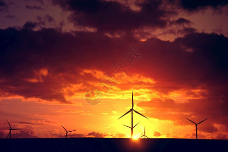日落余晖下的发电风车图片