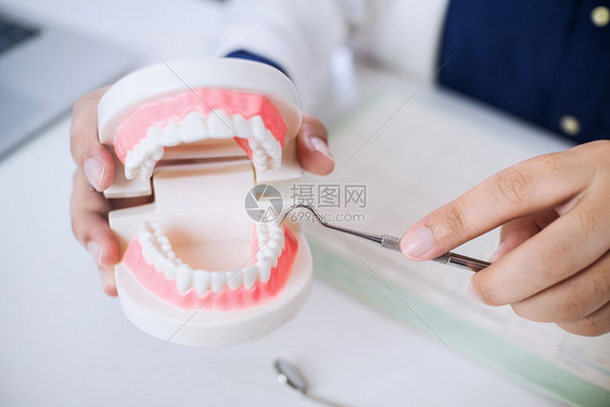 牙医手拿假牙模型图片