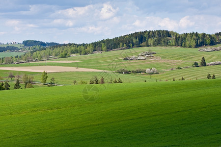 春天的农田景观外部天气明亮的图片