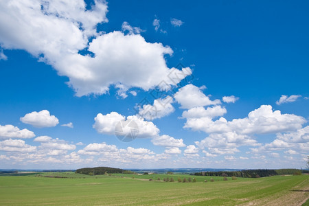 春天的农田景观气空季节图片