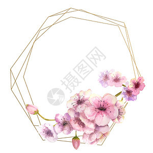 花园樱枝金框上有粉红色的花朵孤立白色背景春天框架水彩插图樱花孤立的白色背景设计元素庆典卡片图片