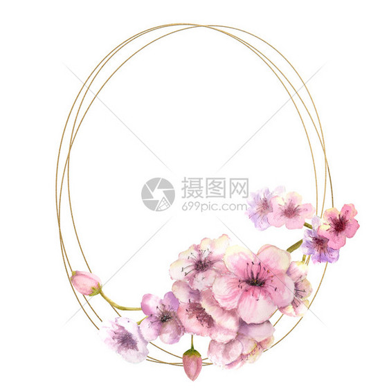 卡片樱花枝金框上有粉红色的花朵孤立白色背景春天框架水彩插图樱花孤立的白色背景设计元素夏令美丽的图片