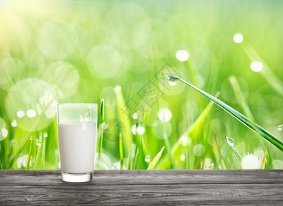 山钙明亮阳光下草背景的一杯牛奶天然食物的概念明亮阳光下草背景的一杯牛奶新鲜图片