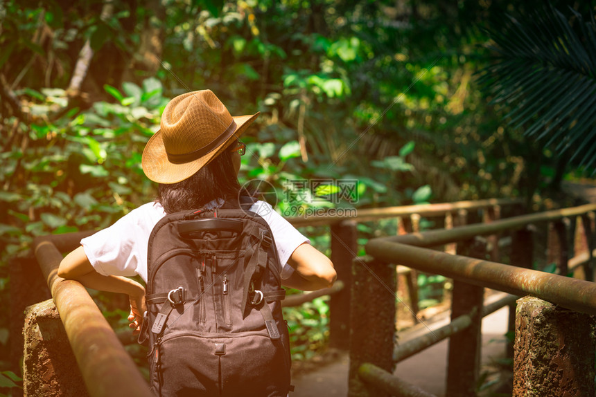 夏天常设带着帽子和背包站的亚洲女游客开始在热带森林自然通道桥上行走在夏季休假的青年女旅行者单独一人图片