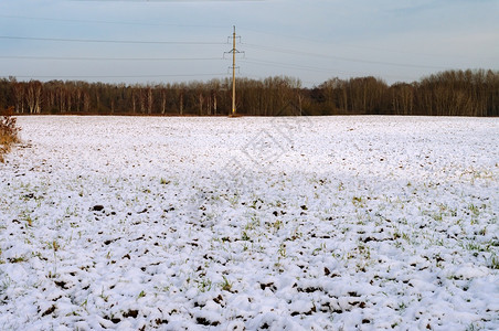 犁过的田地里雪春天和融小路麦农业图片