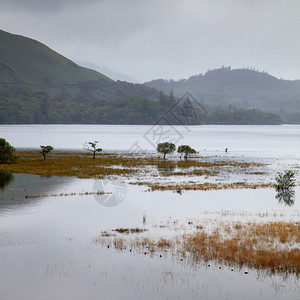 乡村的联合王国湖区DerwentWater的洪水风景图山反射图片