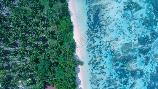 海岸自然对美丽的海滩洋一带的树木和家园空中俯视支撑图片