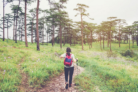 真正的远足参加森林旅行概念的青年游妇女徒步行和背包车流浪癖图片