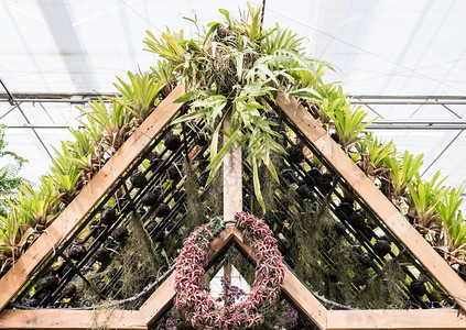 与植物园一同装饰的小展厅木质壁架子在植物园中春天家日志图片