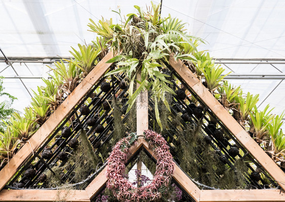 与植物园一同装饰的小展厅木质壁架子在植物园中春天家日志图片