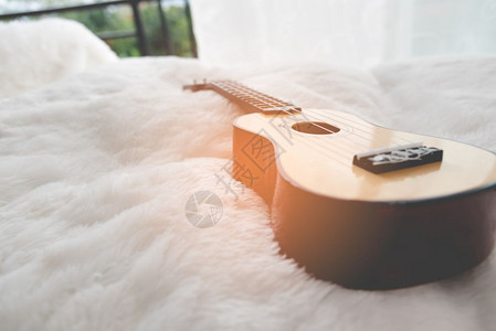 玩棕色的声学白羊毛音乐器和休闲概念旅行与放松主题小吉他图片