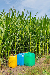 德尔登喷涂绿色在有玉米植物的田地彩色喷口罐中的农药图片