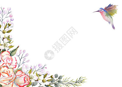 菜单红色的问候带有水彩玫瑰花叶子装饰和蜂鸟的水平框架用于设计贺卡请柬等带有水彩玫瑰花请柬等图片