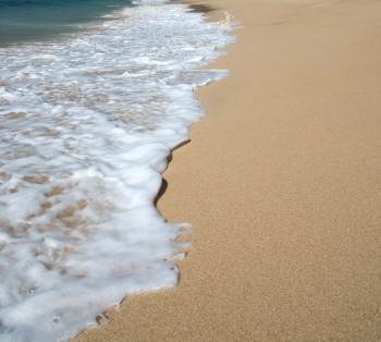 旅行支撑粮食12月在亚洲斯里兰卡南部省的天堂海滩上美丽的波浪在12月于亚洲的斯里兰卡南部省图片