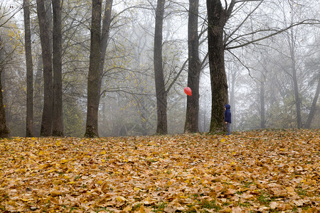 假期美丽的幸福这个男孩手里握着一个红色气球颜在秋季的节里飘过公园一个带满了气球男孩散步的一个气球图片