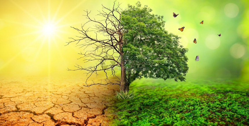 新鲜的责任活地球日或世界环境全球暖化和污染问题在两种树下的环境非常不同图片