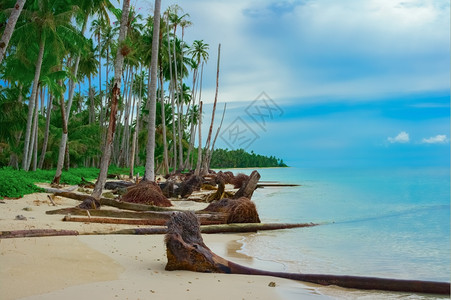 海岸线啸后热带滩班尼亚克群岛齐印度尼西东南风景优美海岸图片