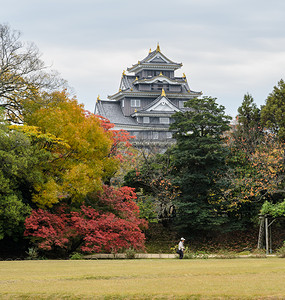 树光洋日本秋色在高原花园和福山城堡背景的日本秋色美丽图片