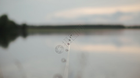 冷静的密闭捕鱼薄膜模糊的湖泊欧洲安宁图片