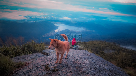 男快乐的狗站在悬崖边自然男人图片