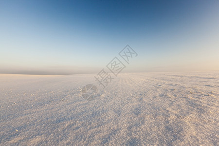 雾凇覆盖阳光明媚的冬季风景与蓝色的天空和田野冬风景的雪地一月图片