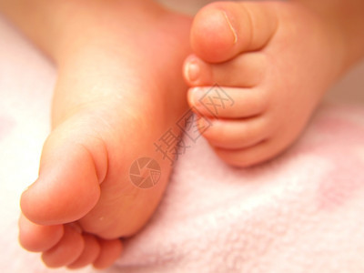 紧闭婴儿脚与粉红色隔绝毯子脚丫纺织品图片