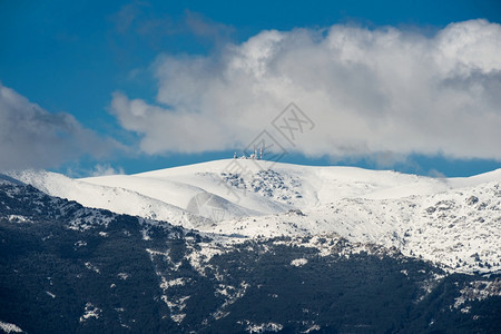 蓝色的纳瓦切拉达山脉冬季现场西班牙马德里森林树图片