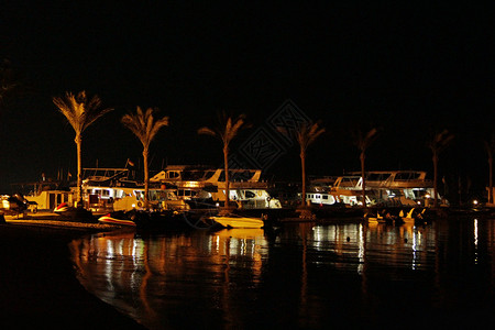 城市的夜间全景以在海滨的热带度假胜地照亮棕榈树夜间海岸的美丽全景带灯光夜间海滩风景全着眼于开明的海滨棕榈树天气娱乐图片