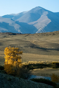 品红高地阿尔泰山和间峡谷的自然景观阿尔泰山和间峡谷的自然景观云图片