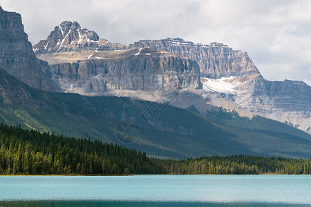 身体旅游湖泊加拿大艾伯塔省冰田公园道Banff公园水禽湖全景图像加拿大艾伯塔图片