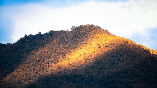 日出时风景灿烂的山林太阳光照耀冬晨假日期概念等多彩森林黄色的落下阴凉处图片