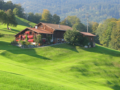 爬坡道自然真正的瑞士Voralp的风景观图片
