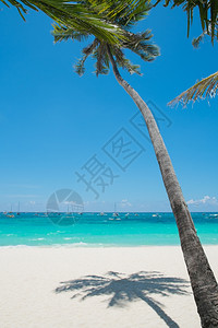 热带白沙滩景观图片