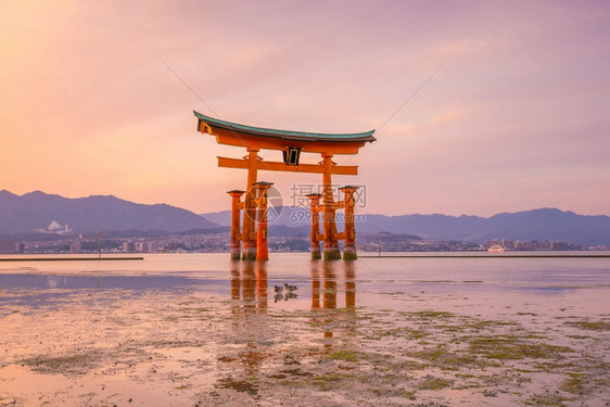 广岛天际线宫日本著名的漂浮托里城门日落图片