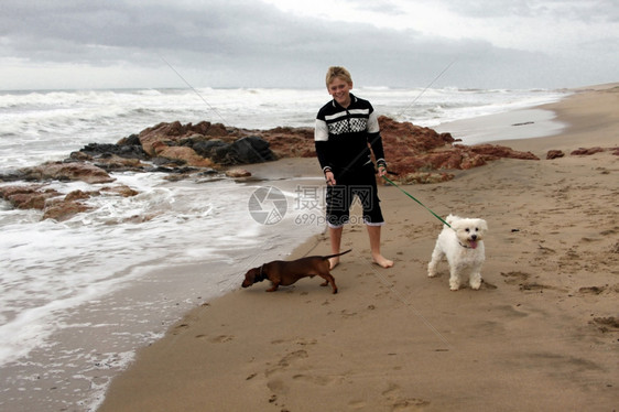 受控男孩带着他的狗去海滩第一街走衣领图片