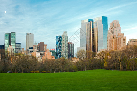 高楼建筑学人们美国纽约州市中央公园和心天际线的羊群梅朵图片