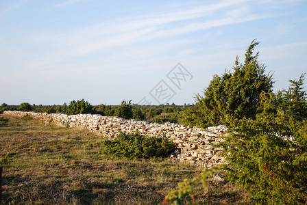 在世界遗产中传统的干岩墙在瑞典群岛奥兰的石头地形图片