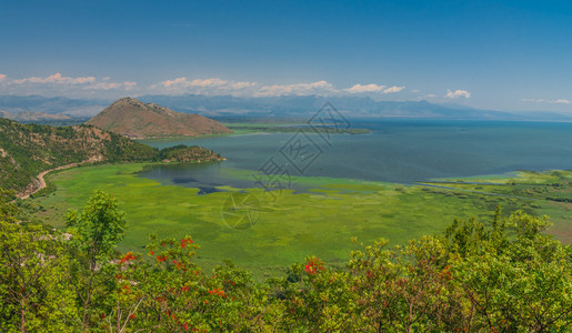 树叶自然黑山公园Skadar湖和Crnojevica河的上空全景在阳光明媚的夏季日子里Skadar湖和黑山的Crnojevica图片