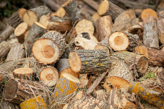 大量切割原木天然材装饰背景一堆为冬天准备的碎柴一堆为冬天准备的碎柴圆圈树图片