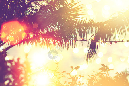 海滩树叶日落时有椰子棕榈树背景的浅光bokeh户外餐厅内黄线灯和布OK装饰风格图片